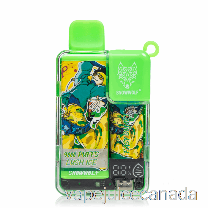 Vape Disposable Canada Snowwolf Easy Smart EA9000 Disposable Lush Ice